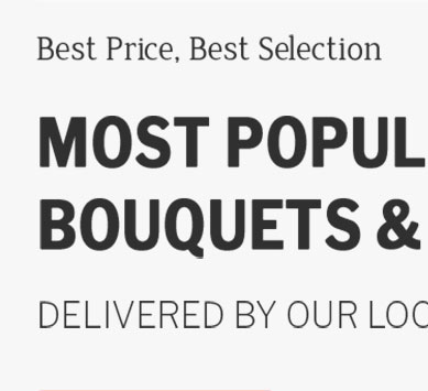 Morgantown Wv Florist ⚜️ Feb 2026